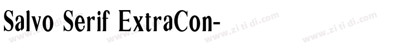 Salvo Serif ExtraCon字体转换